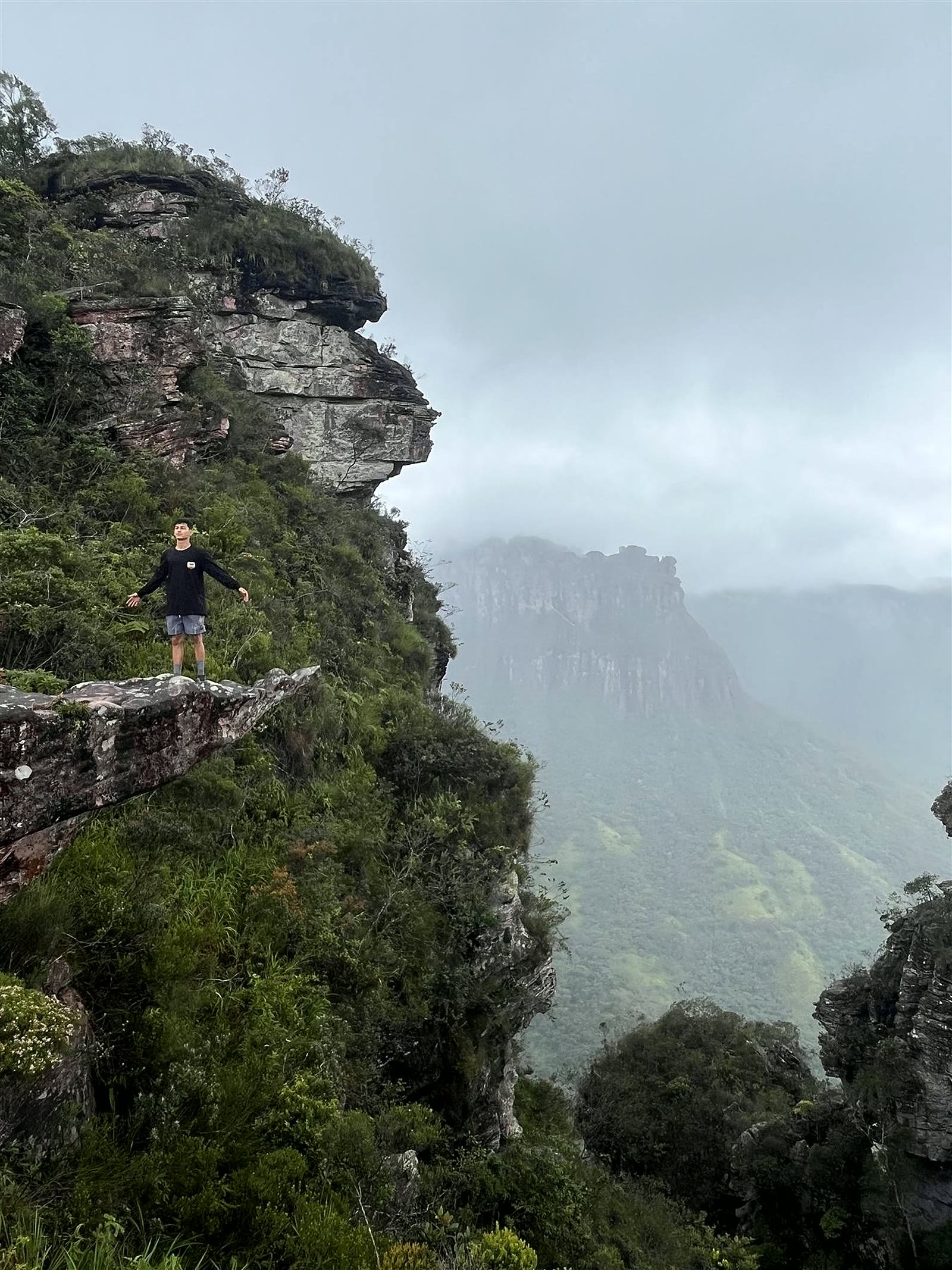 Gerais na neblina